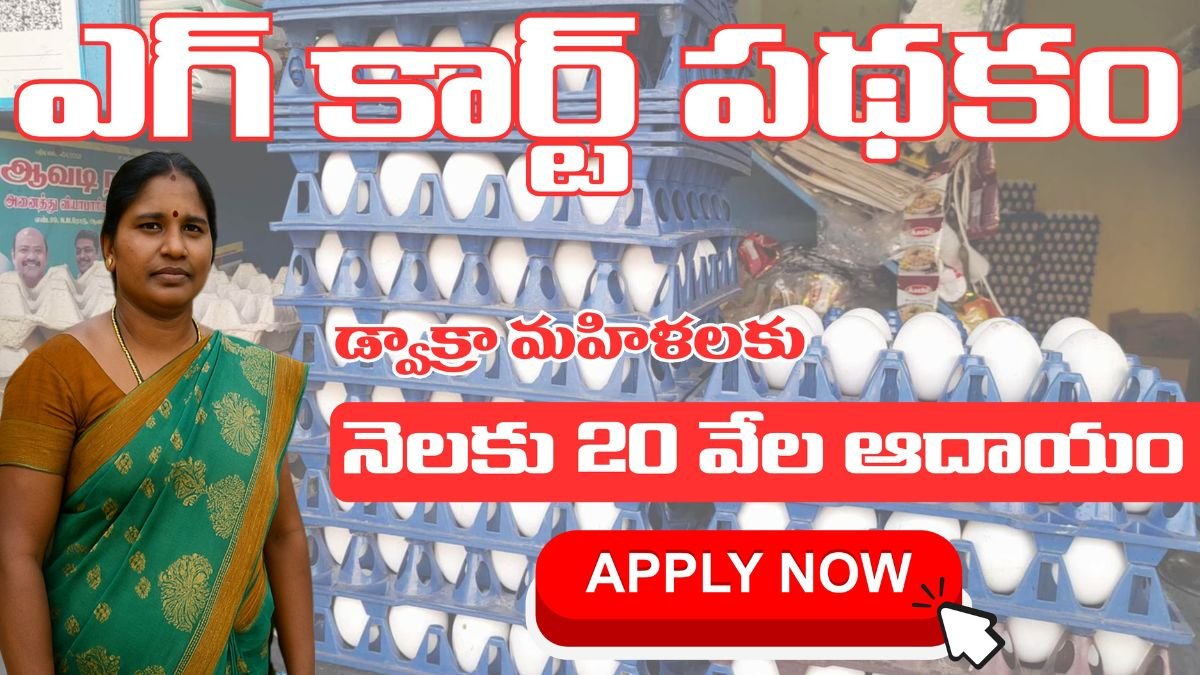 AP DWCRA Women Egg Card Scheme 2025