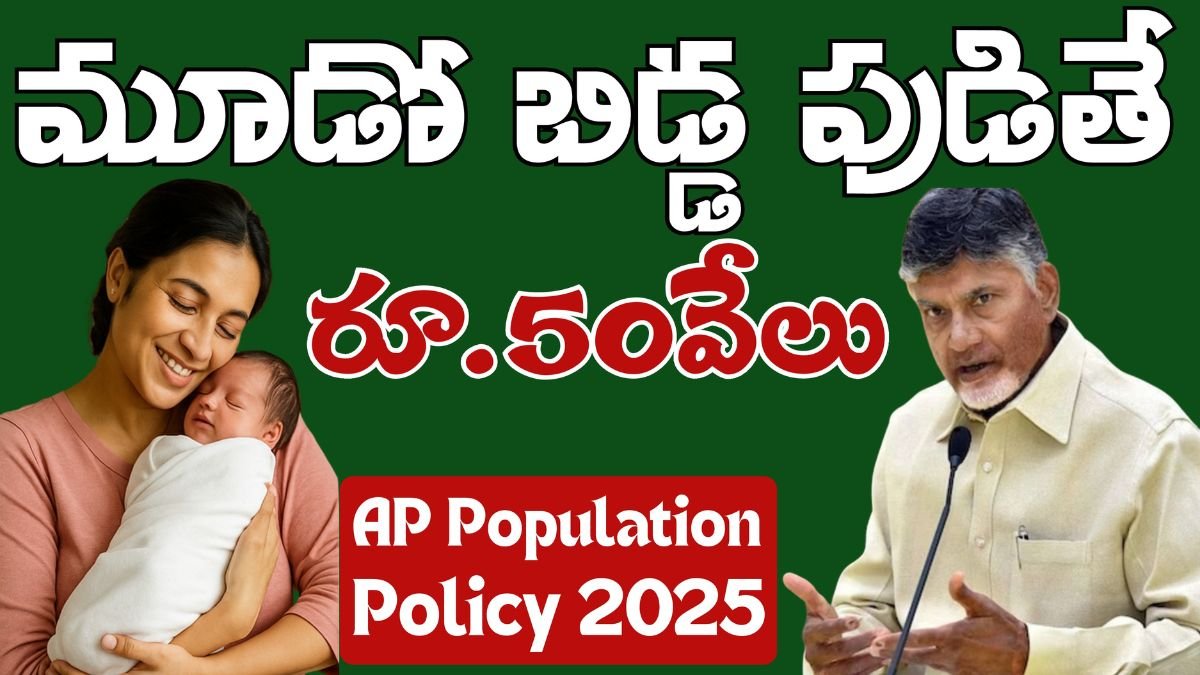 AP Population Policy 2025