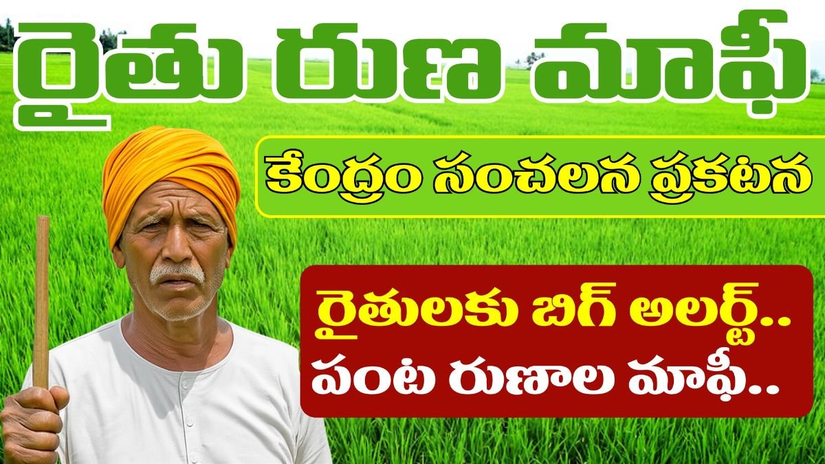 Crop Loan Waiver Policy 2025