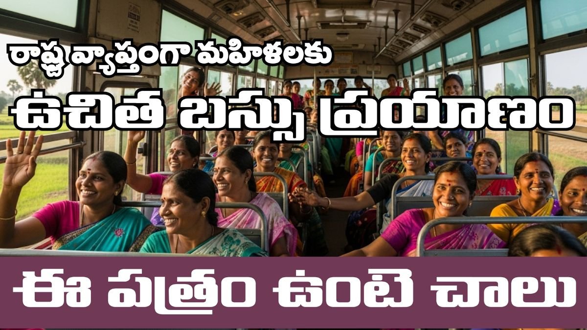 Free Bus Scheme Latest Upadate 2025