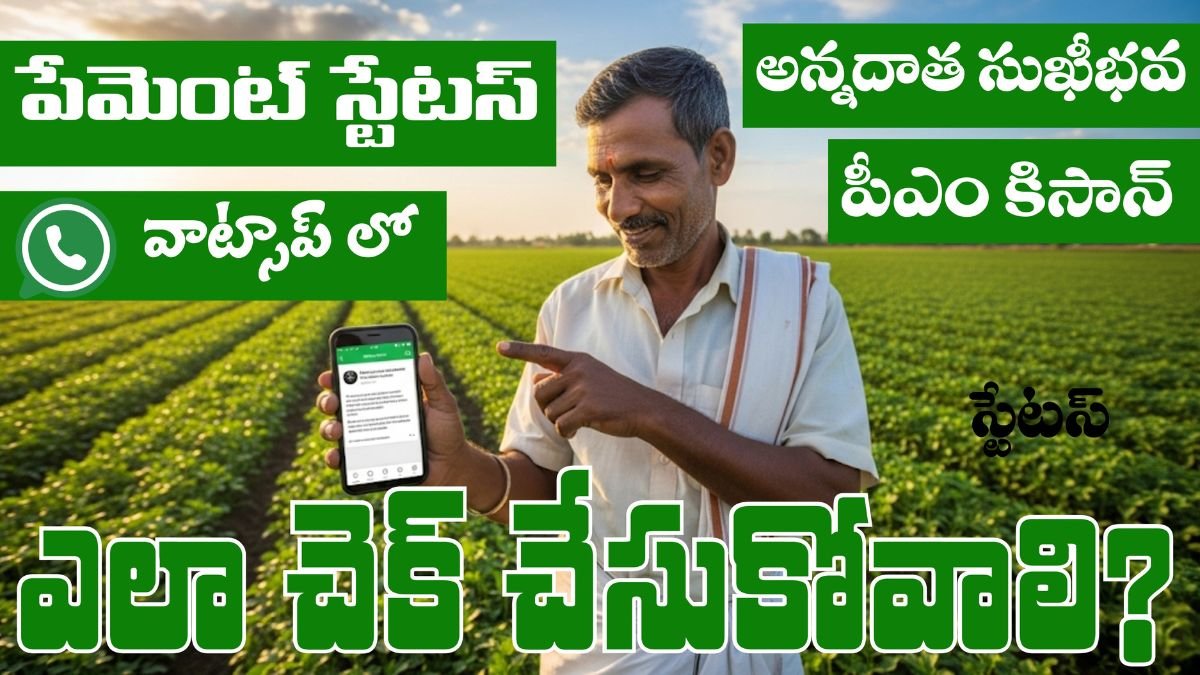 How To Check Payment Status In Whatsapp