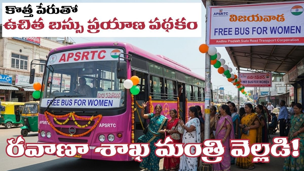 New Name For AP Free Bus Scheme