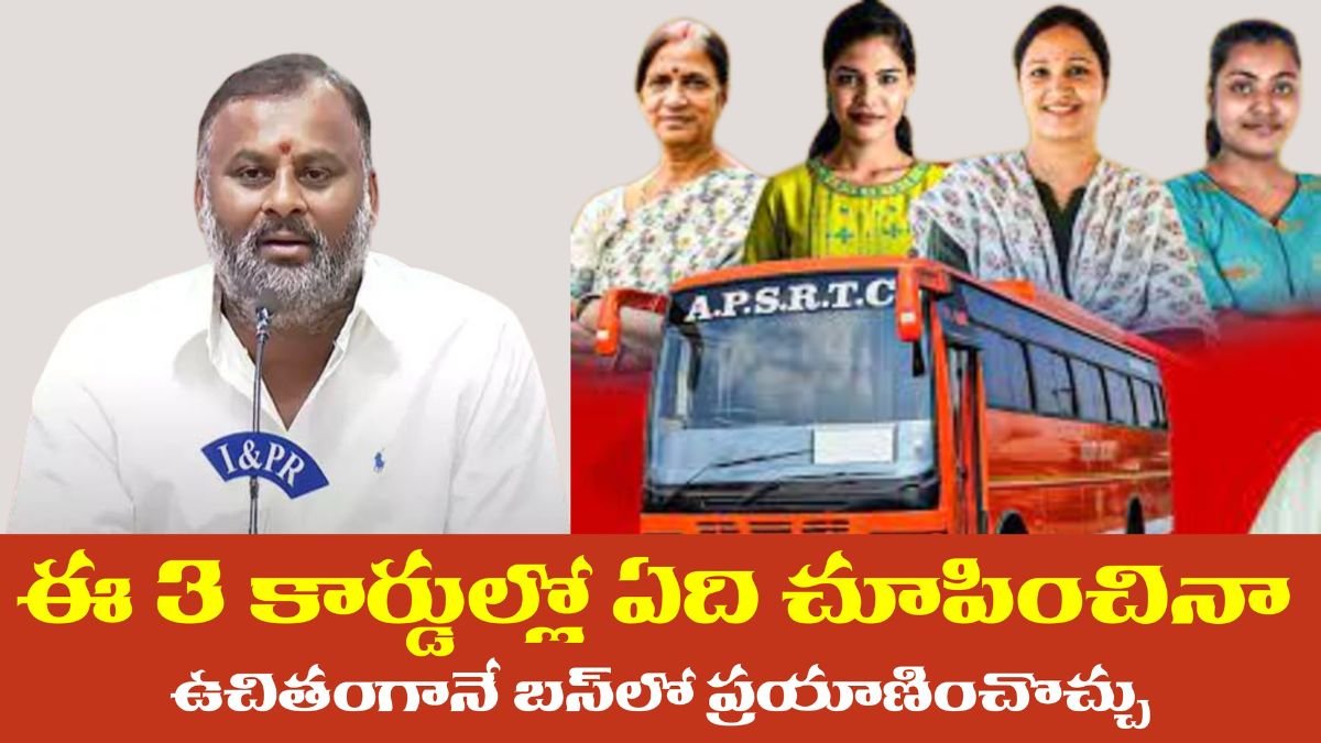 AP Free Bus Scheme 2025