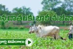 Annadatha Payment 5000 Fund Check Link