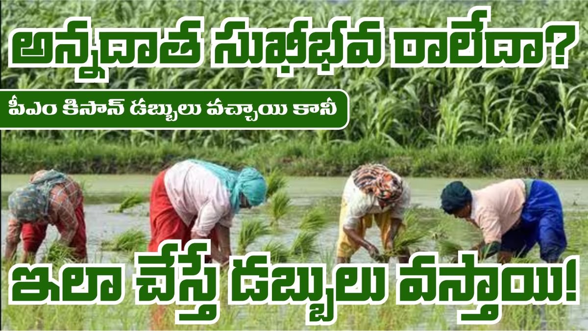 PM Kisan Annadatha Sukhibhava Pending Payment Simple Process To Get Money